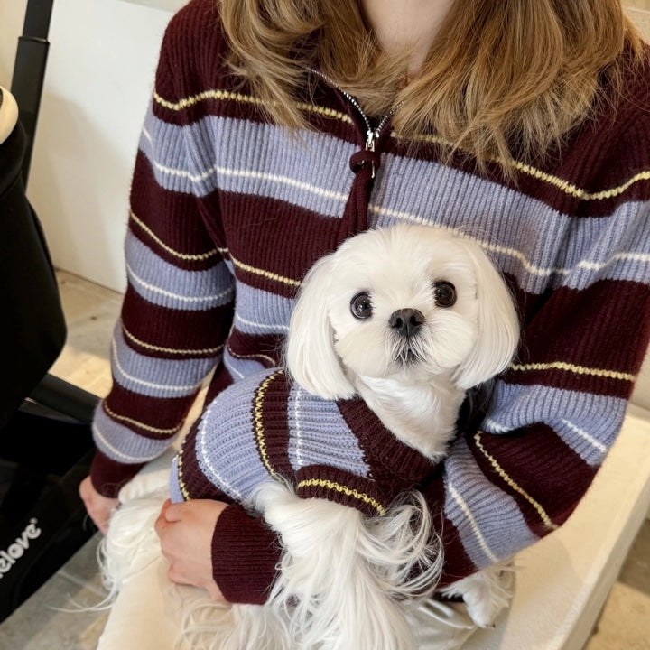 Person wearing a striped sweater holding a small white dog also in a matching sweater.