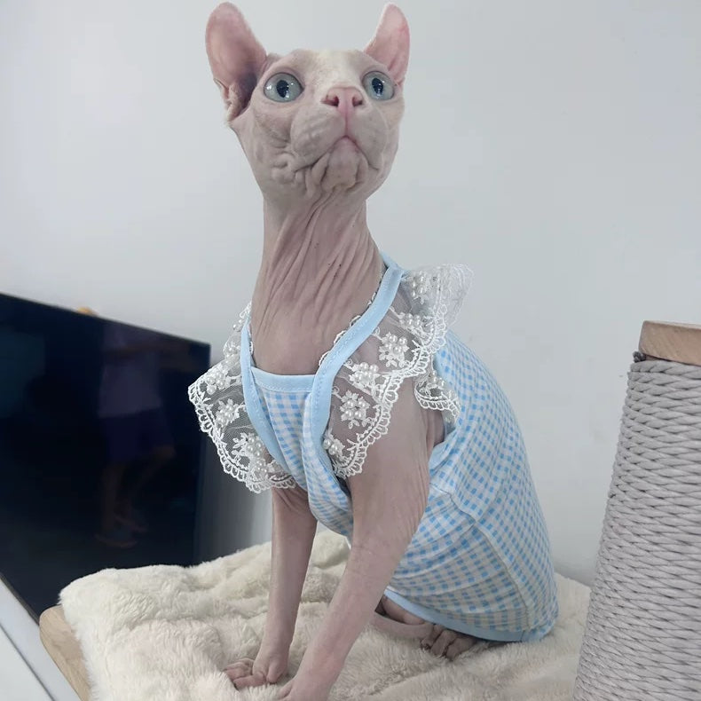 Lace Ruffle Sleeve Gingham Sphynx Cat Camisoles