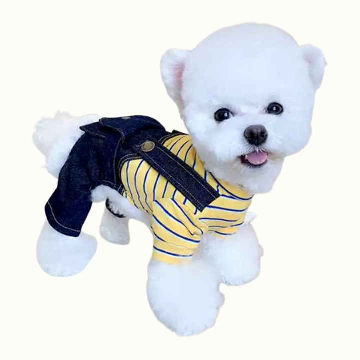 Jeans Four-Legged One Piece Jumpsuit