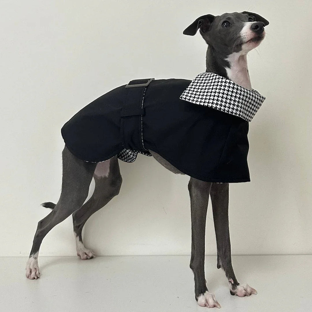 Dog wearing a black coat with a houndstooth pattern on a white background