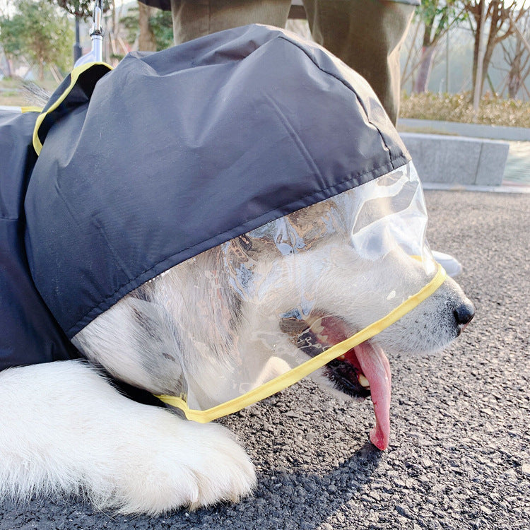 Dinosaur Dog Human Matching Raincoat