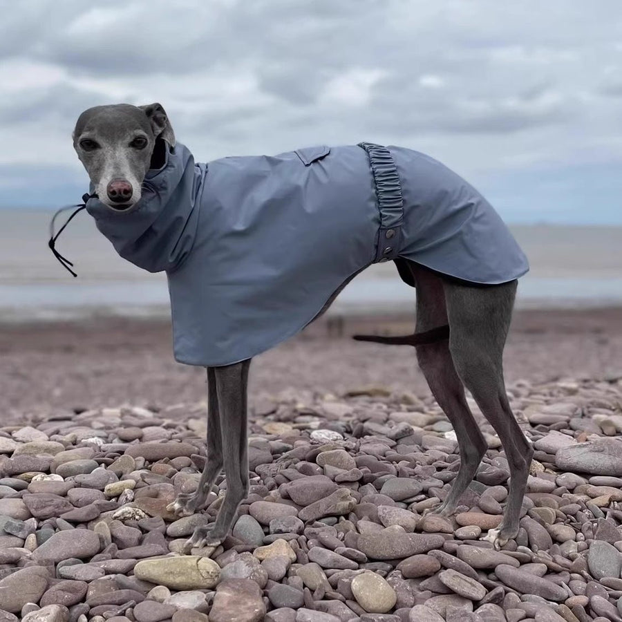 Dog wearing a light blue raincoat standing on a pebbly beach with a cloudy sky.