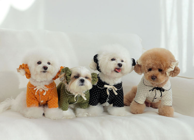 Buttercup Bow Dotty Cat and Small Dog Pajama