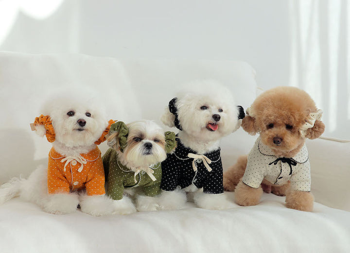 Buttercup Bow Dotty Cat and Small Dog Pajama