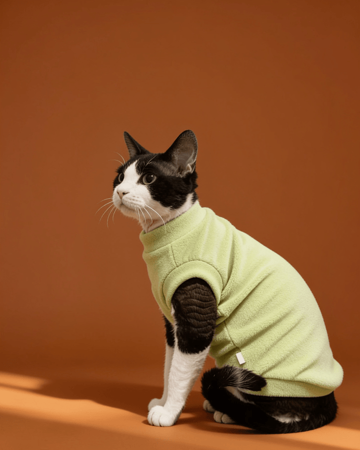 A black and white cat wearing a light green fleece pet sweater.