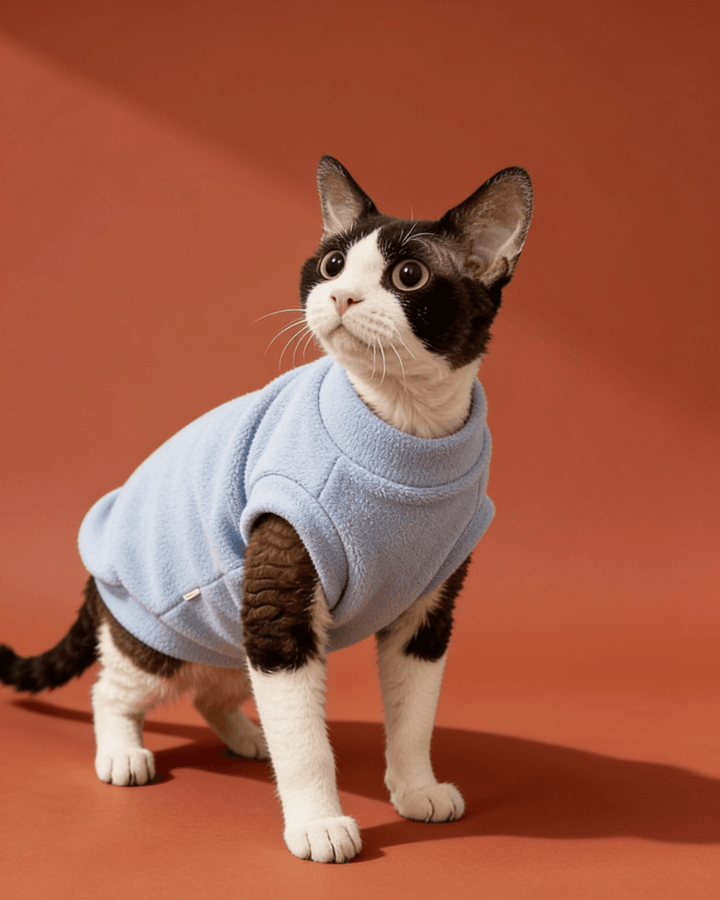 A black and white cat wearing a light blue fleece sweater.