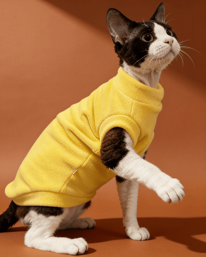 Black and white Sphynx cats wearing soft double-sided fleece winter vest clothes in yellow for warmth and everyday comfort.