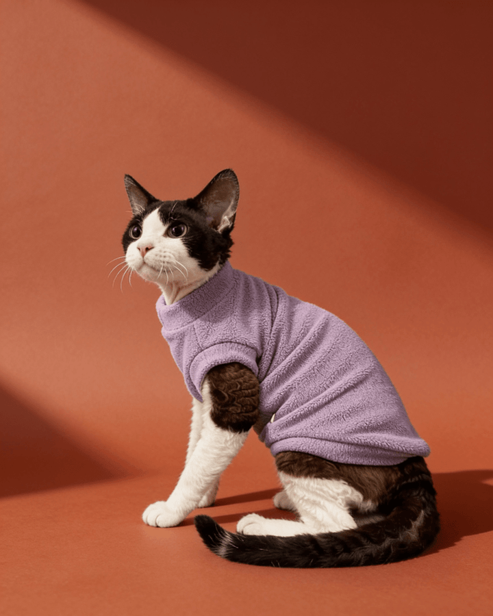 Black and white Sphynx cats wearing soft double-sided fleece winter vest clothes in mediumpurple for warmth and everyday comfort.