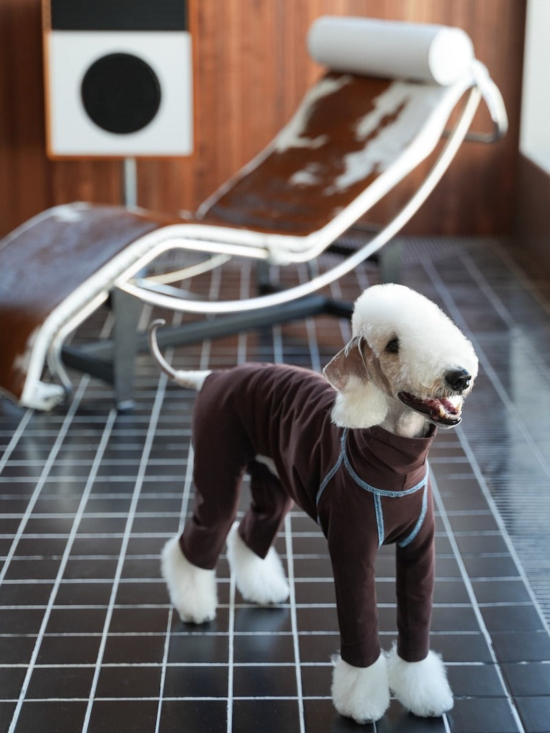 Essential Slim Fit Bedlington Iggy Whippet Onesies