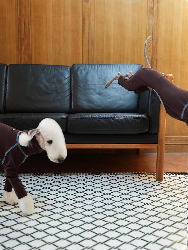 Essential Slim Fit Bedlington Iggy Whippet Onesies