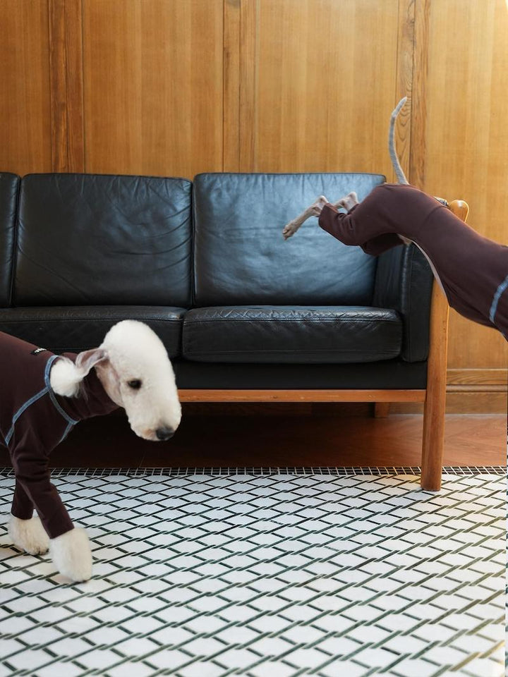 Essential Slim Fit Bedlington Iggy Whippet Onesies