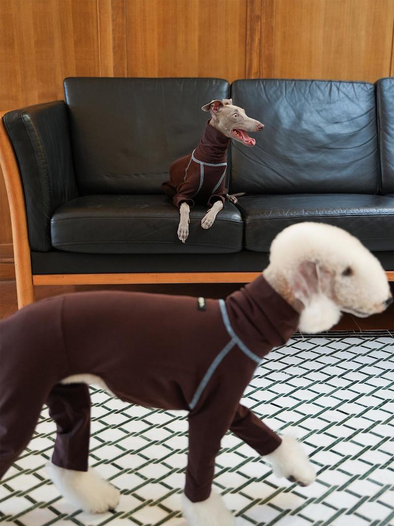 Essential Slim Fit Bedlington Iggy Whippet Onesies