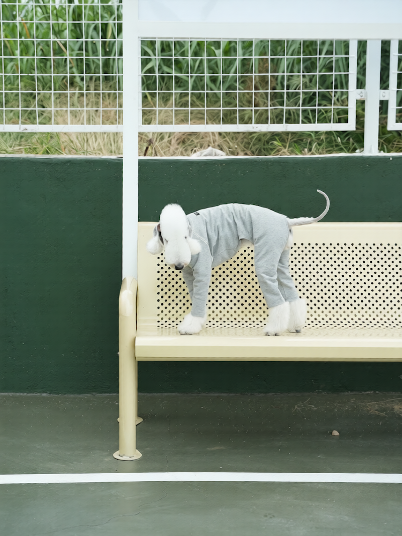 Essential Slim Fit Bedlington Iggy Whippet Onesies
