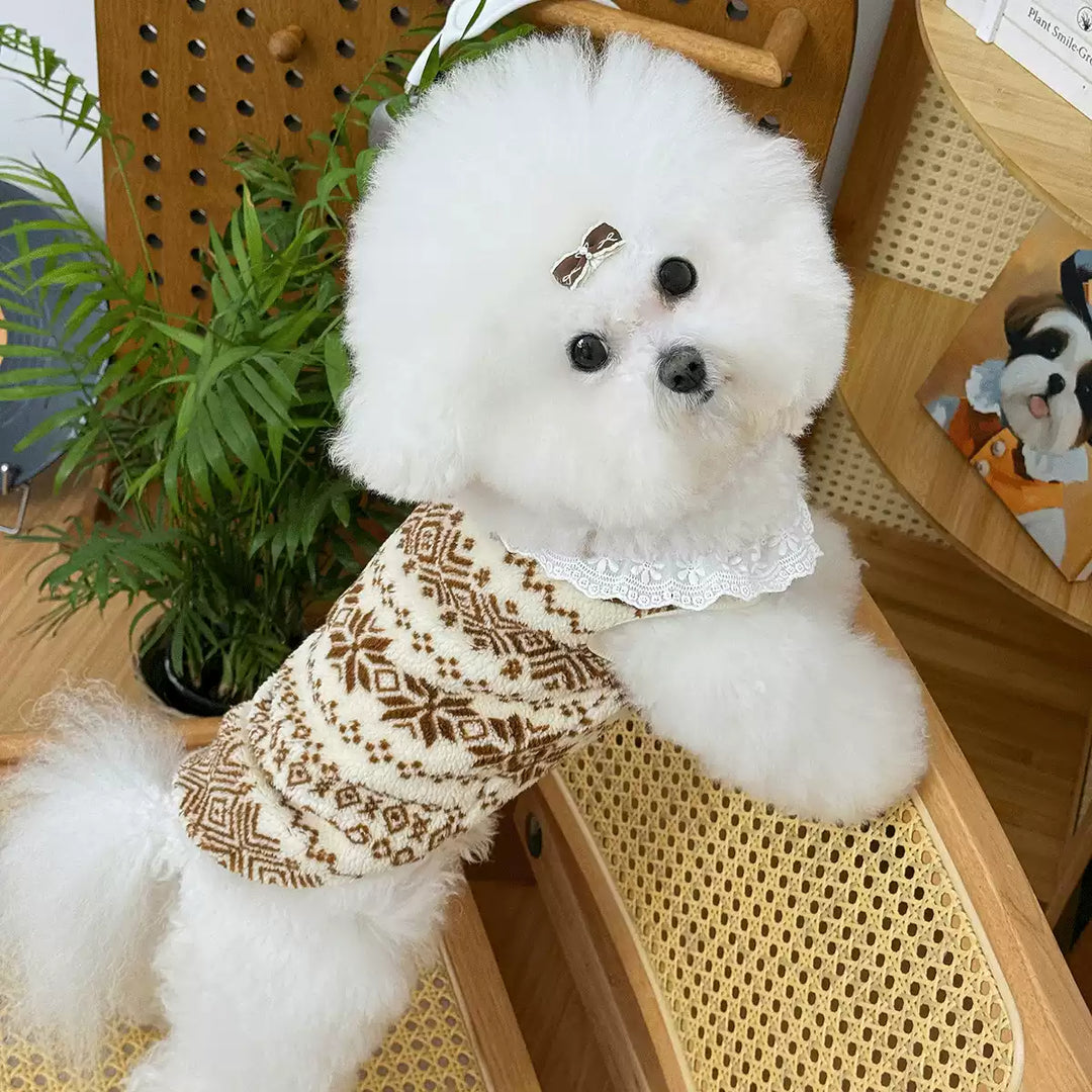 Ethnic Style Pet Sweater