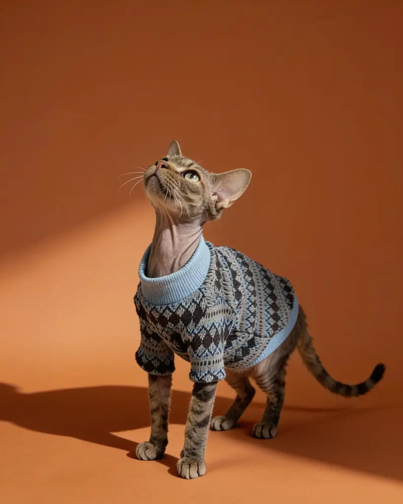 The cat is wearing a cozy, chunky-knit sweater in deep navy, patterned with light gray and icy-blue geometric diamonds for a classic Nordic look. It has a relaxed fit that covers the cat’s back and torso, a snug light-blue turtleneck, and gray-blue striped trim at the cuffs and hem.