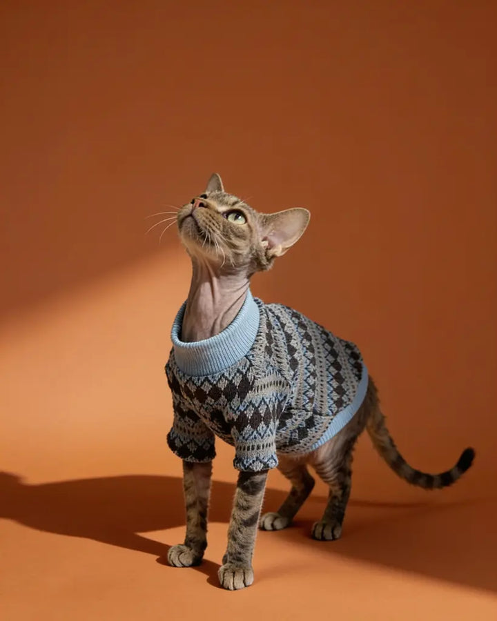 The cat is wearing a cozy, chunky-knit sweater in deep navy, patterned with light gray and icy-blue geometric diamonds for a classic Nordic look. It has a relaxed fit that covers the cat’s back and torso, a snug light-blue turtleneck, and gray-blue striped trim at the cuffs and hem.