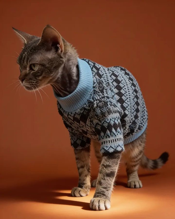 The cat is wearing a cozy, chunky-knit sweater in deep navy, patterned with light gray and icy-blue geometric diamonds for a classic Nordic look. It has a relaxed fit that covers the cat’s back and torso, a snug light-blue turtleneck, and gray-blue striped trim at the cuffs and hem.