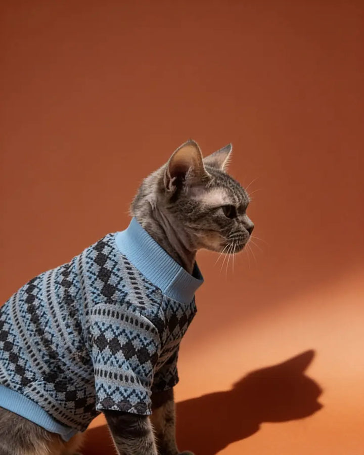 The cat is wearing a cozy, chunky-knit sweater in deep navy, patterned with light gray and icy-blue geometric diamonds for a classic Nordic look. It has a relaxed fit that covers the cat’s back and torso, a snug light-blue turtleneck, and gray-blue striped trim at the cuffs and hem.
