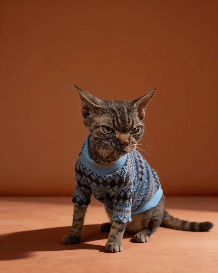 The cat is wearing a cozy, chunky-knit sweater in deep navy, patterned with light gray and icy-blue geometric diamonds for a classic Nordic look. It has a relaxed fit that covers the cat’s back and torso, a snug light-blue turtleneck, and gray-blue striped trim at the cuffs and hem.