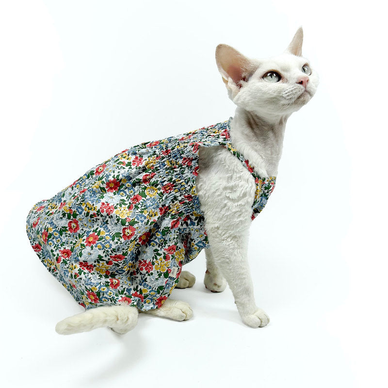 Cat wearing a colorful floral dress on a white background