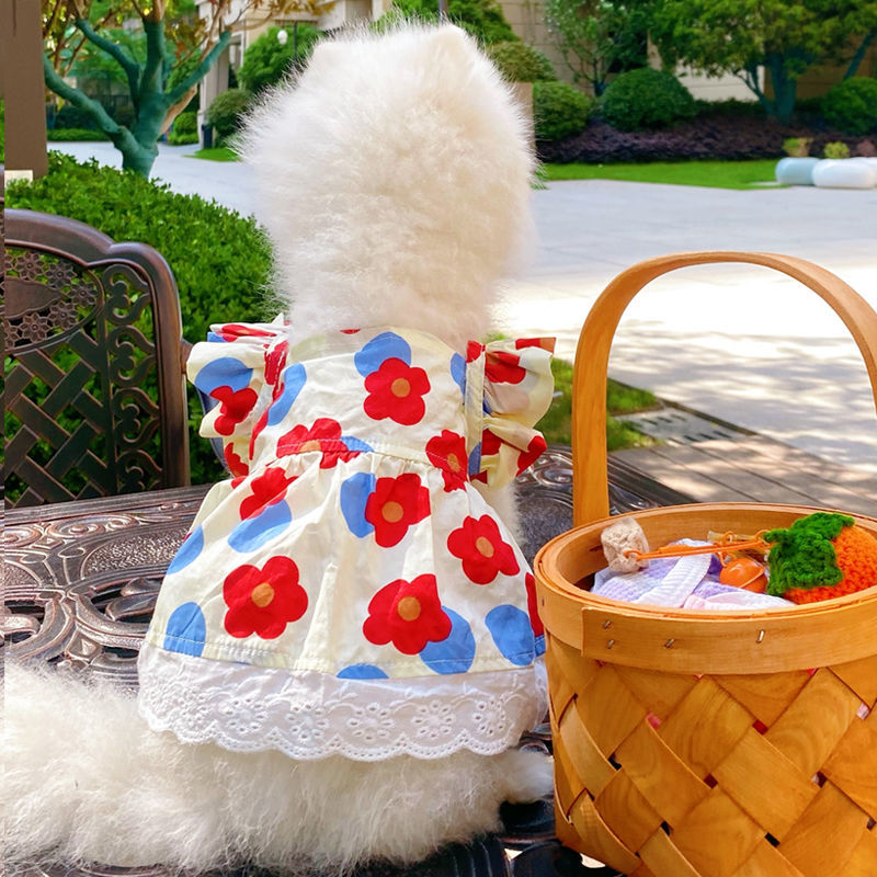 Flower Print Spring Summer Style Pet Dress for Cat and Small Dogs