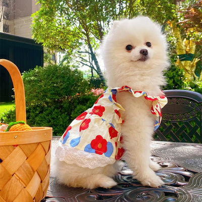 Flower Print Spring Summer Style Pet Dress for Cat and Small Dogs