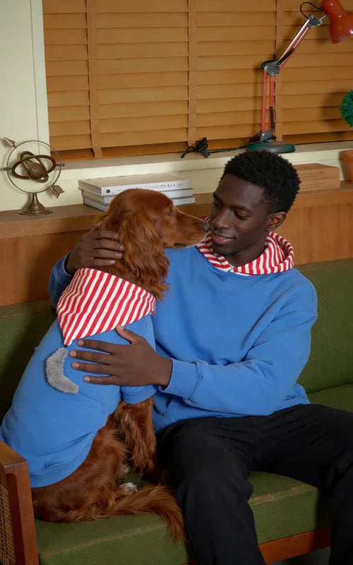 Fluffy Tail Pom Pet and Owner Matching Hoodie
