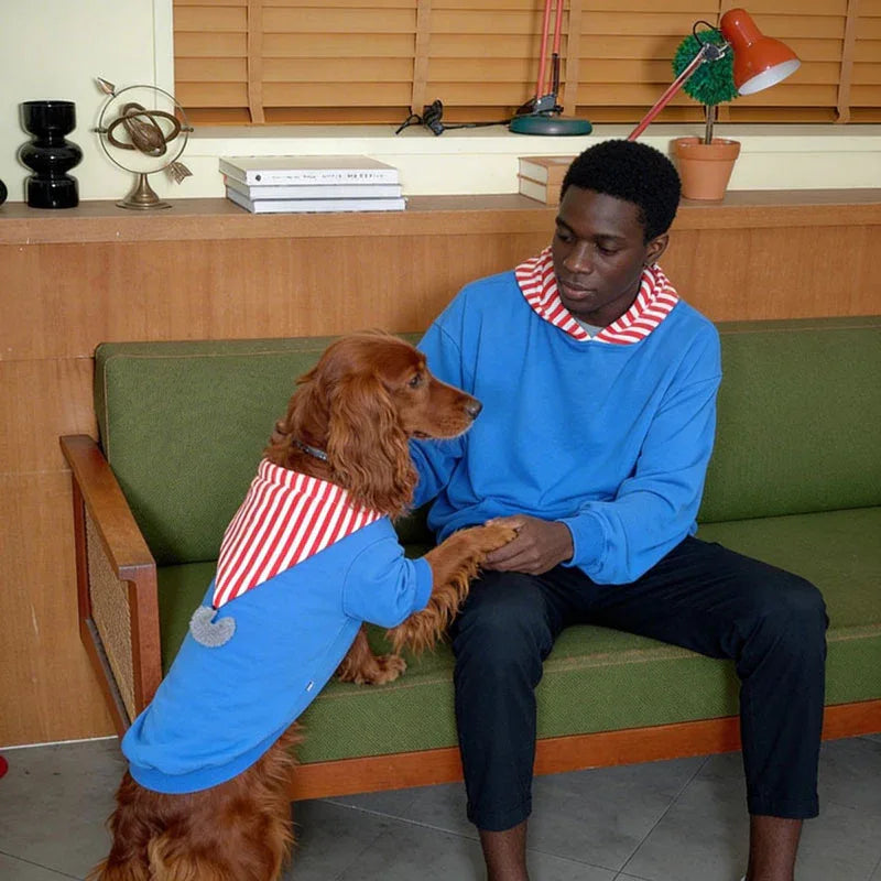 Fluffy Tail Pom Pet and Owner Matching Hoodie