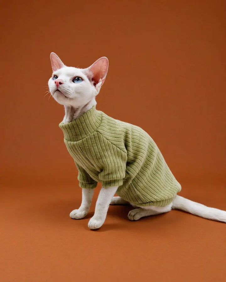 White Sphynx cat wearing an olive green ribbed polar fleece sweater