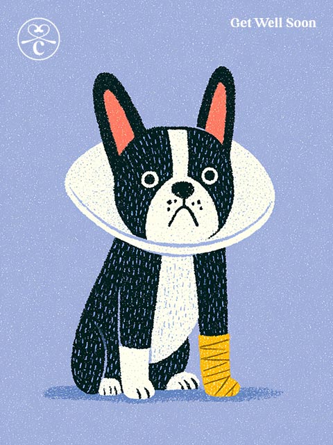 Get Well Soon E-Gift Card CityBear