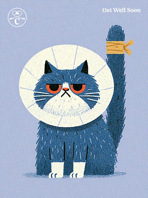 Get Well Soon E-Gift Card CityBear