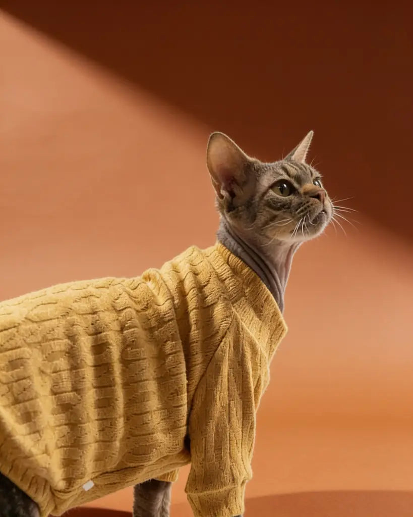 Sphynx cat sweater in mustard yellow with a textured pattern and long sleeves