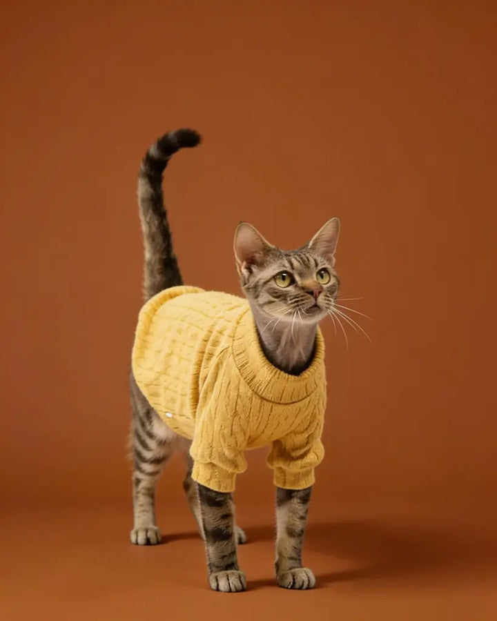 Sphynx cat sweater in mustard yellow with a textured pattern and long sleeves