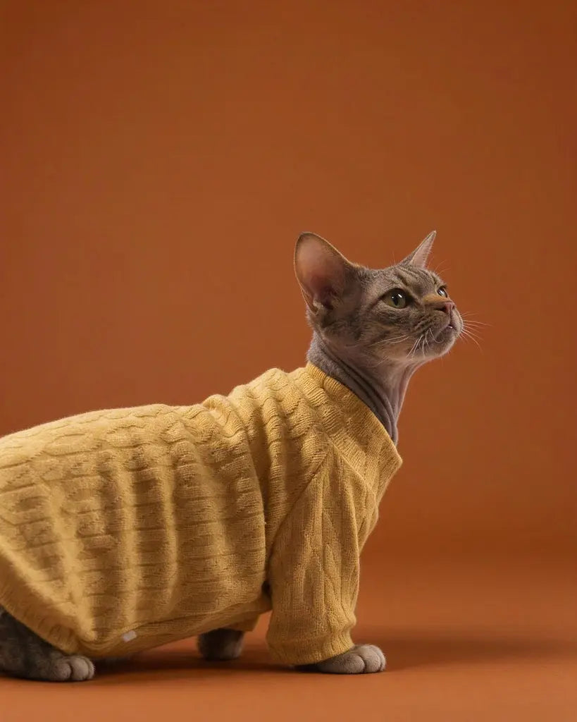 Sphynx cat sweater in mustard yellow with a textured pattern and long sleeves