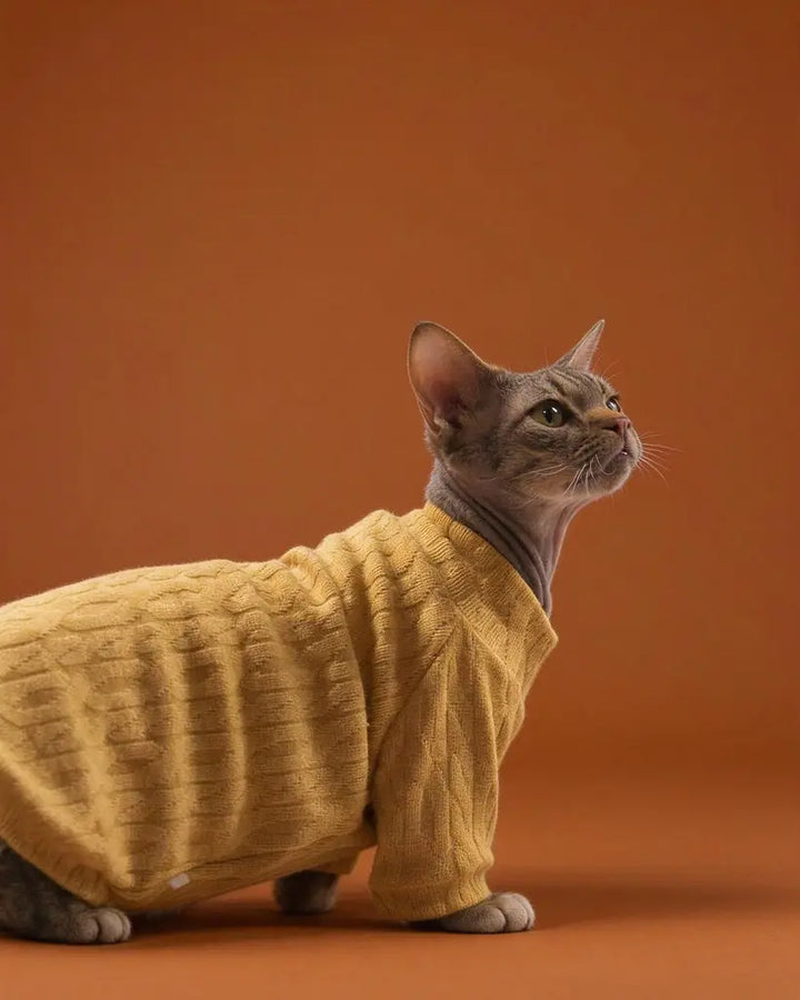 Sphynx cat sweater in mustard yellow with a textured pattern and long sleeves