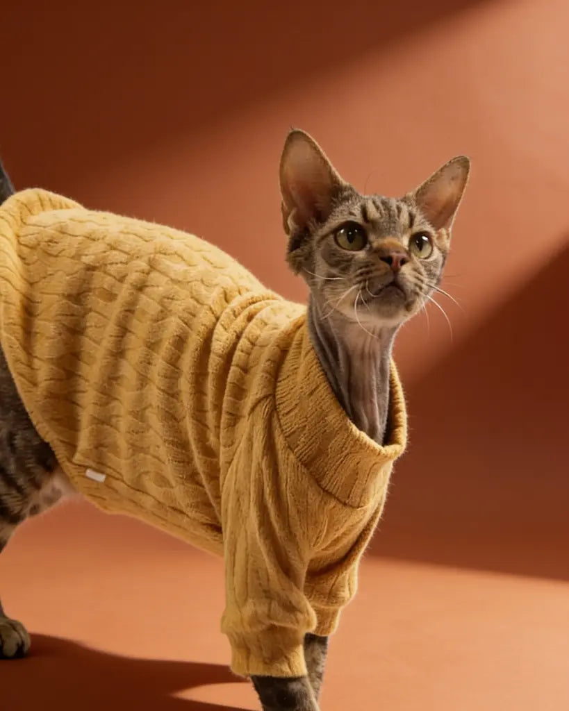 Sphynx cat sweater in mustard yellow with a textured pattern and long sleeves