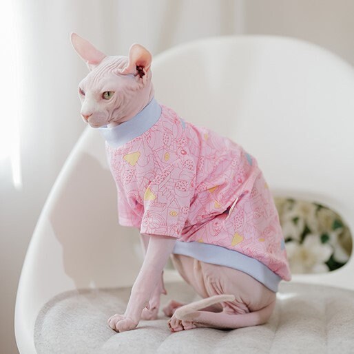 Pastel Duotone Sphynx Cat Tee Shirt