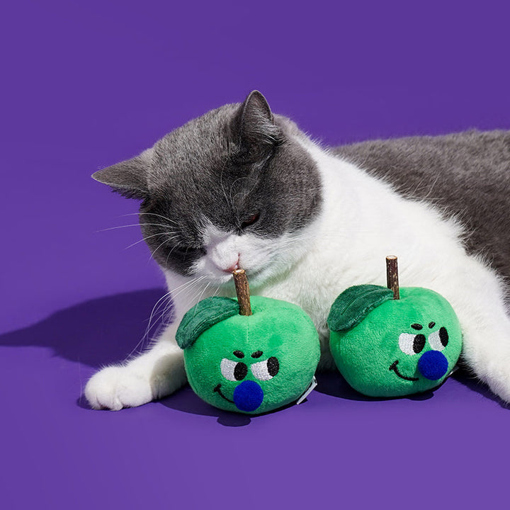 Soft chew toy for cats shaped like green apple with silvervine aroma 