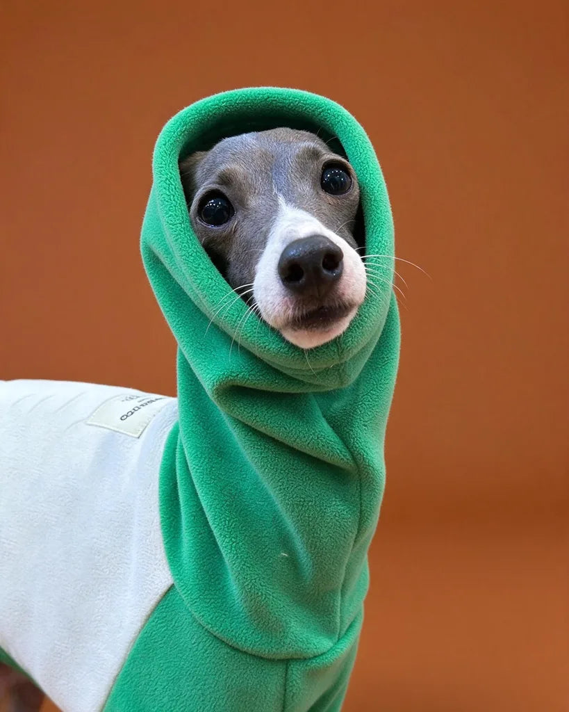 Green Color Block Turtleneck Fleece Onesie for Iggy &amp; Whippet