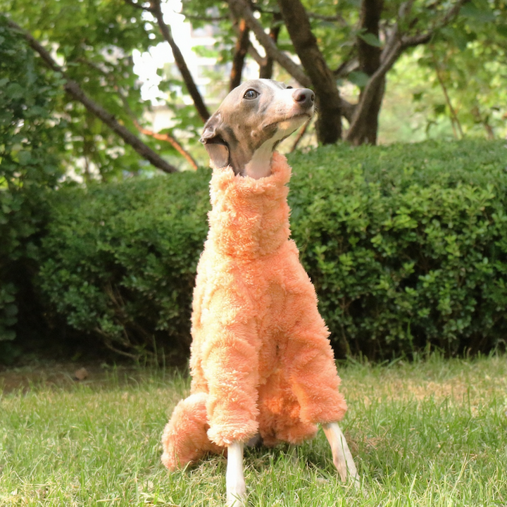 Greyhound High-Neck Warm Four-Legged Sweatshirt