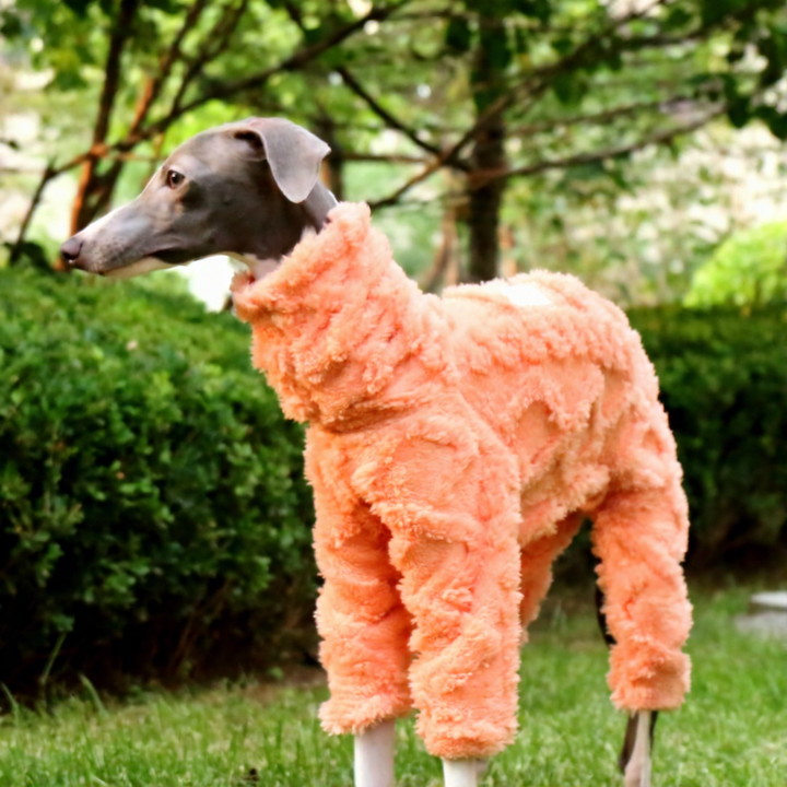 Greyhound High-Neck Warm Four-Legged Sweatshirt