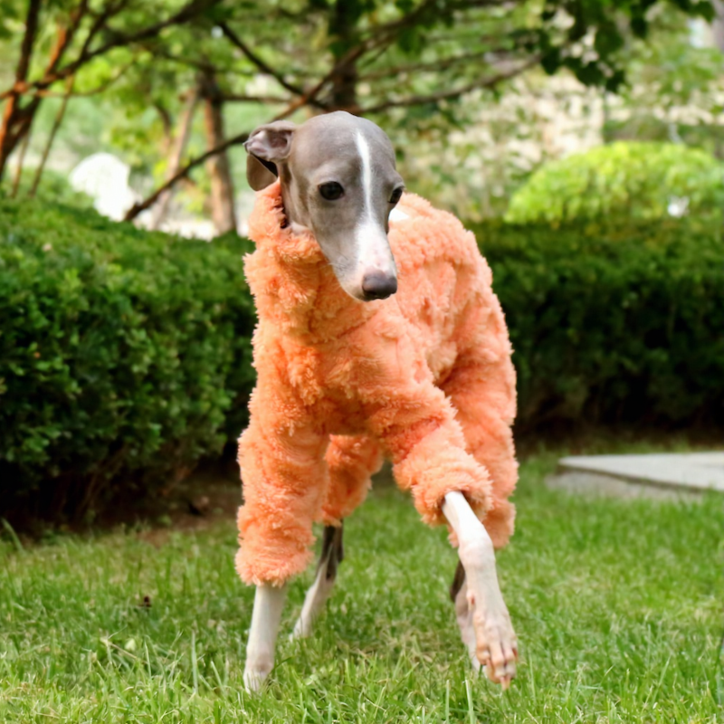 Greyhound High-Neck Warm Four-Legged Sweatshirt