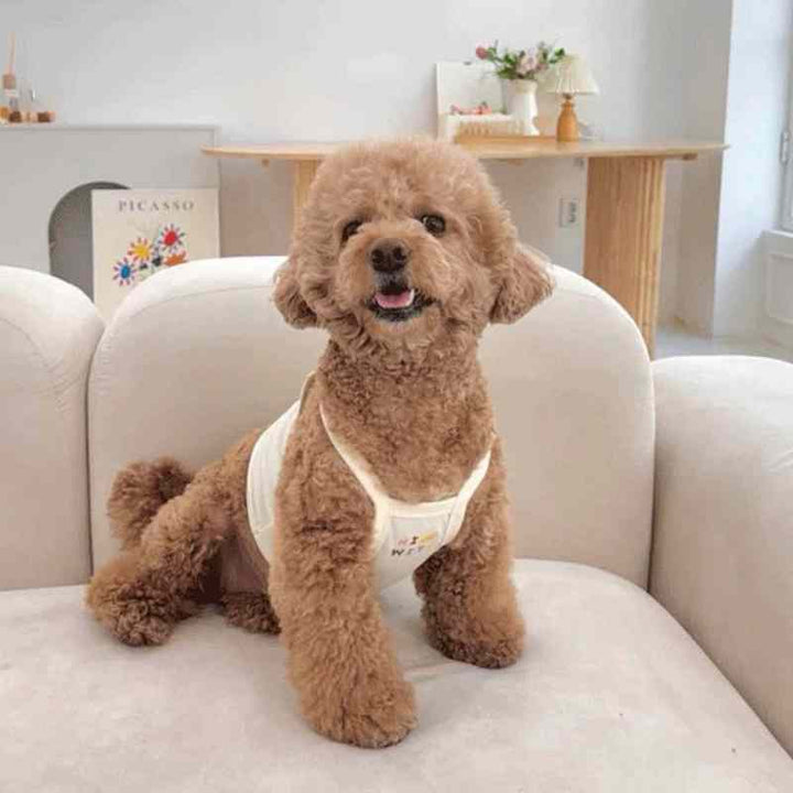 Happy Together Pet and Owner Matching Tee Shirt