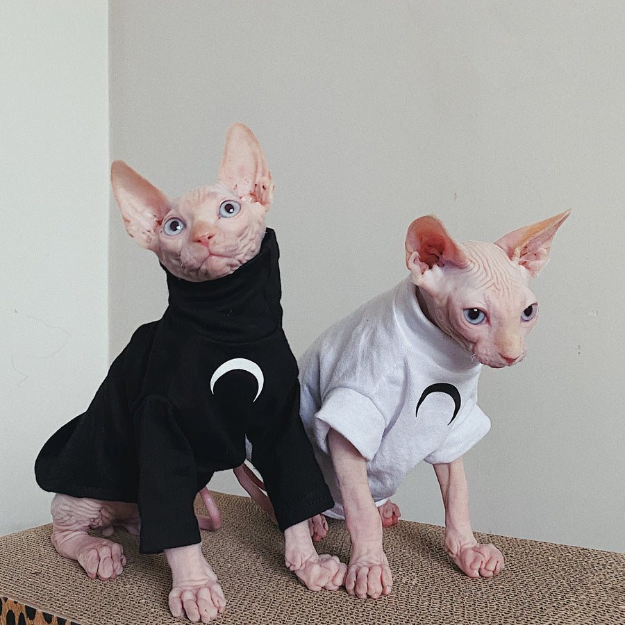 Sphynx Cat Clothes Cat Tops Turtle Neck Long Sleeve Tops Cat Short Sleeve Tops Cat Shirts High Neck Cat Clothing Pet Apparel Spring Autumn