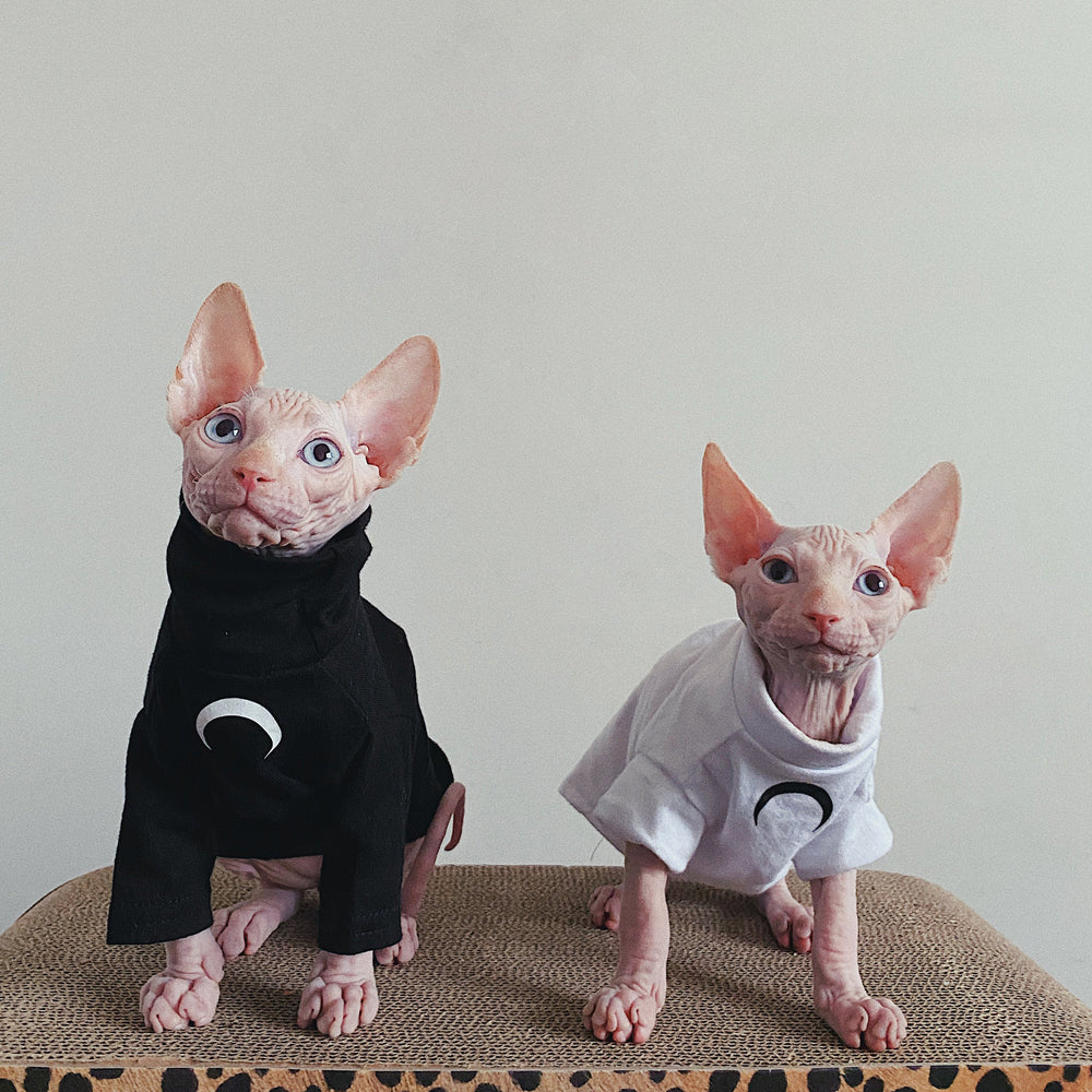 Sphynx Cat Clothes Cat Tops Turtle Neck Long Sleeve Tops Cat Short Sleeve Tops Cat Shirts High Neck Cat Clothing Pet Apparel Spring Autumn
