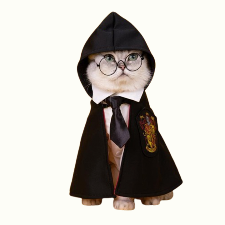 Harry Potter Wizard Cloak Pet Costumes