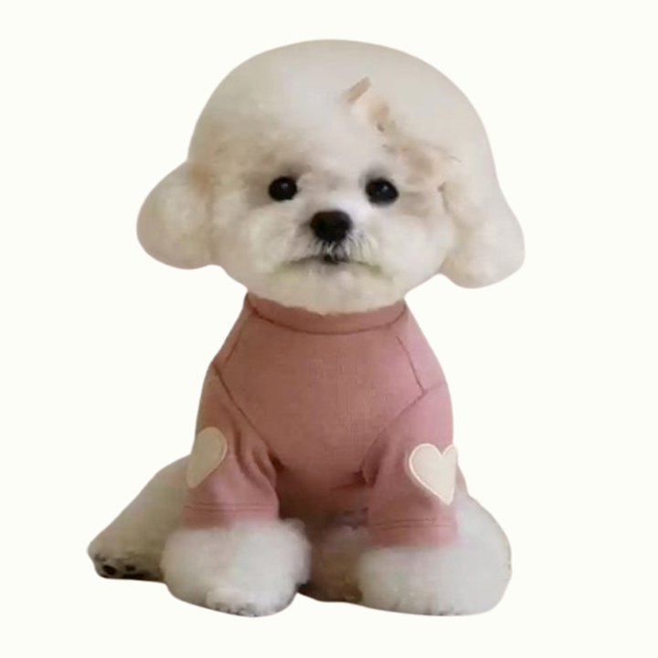 Cute Heart Embroidery Pet Sweatshirt