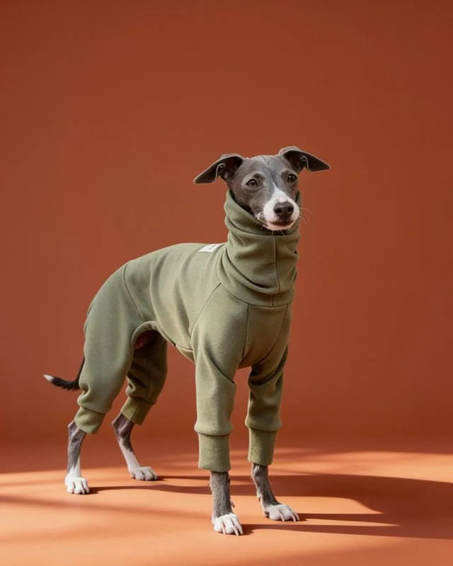 highneck-semi-elastic-soft-warm-four-legged-italian-greyhound-onesie-for-whippet-bedlington-sighthounds-owner-gifts - CityBear