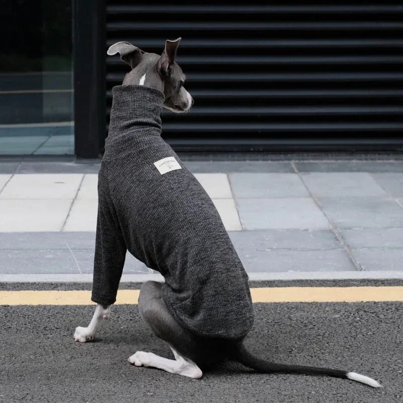 Highneck Slim Fit Base Sweater for Italian Greyhound and Whippet