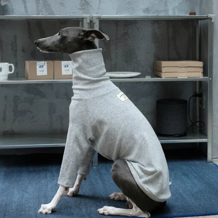 Highneck Slim Fit Base Sweater for Italian Greyhound and Whippet